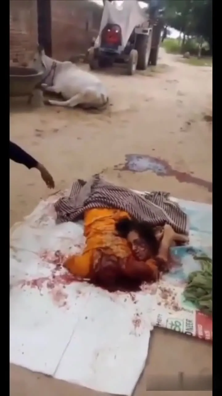 Preview for 1000002395