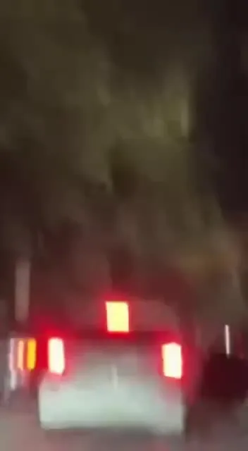 Preview for Video 1217681