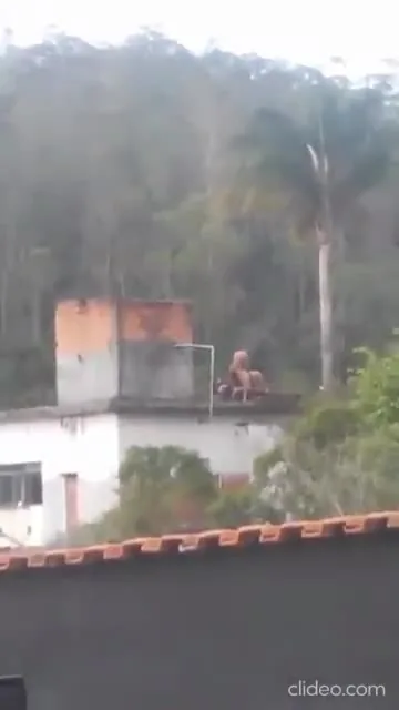 Preview for Video 1198807