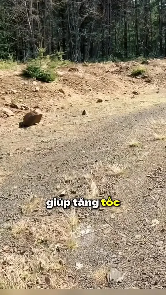 Preview for 1733032024404