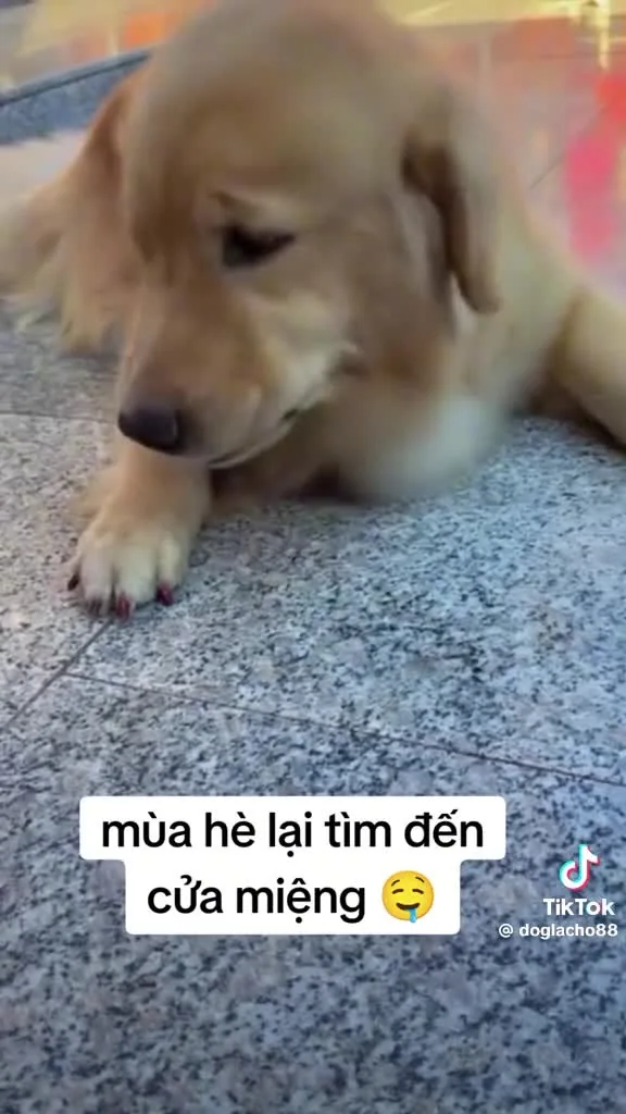 Preview for 88189928