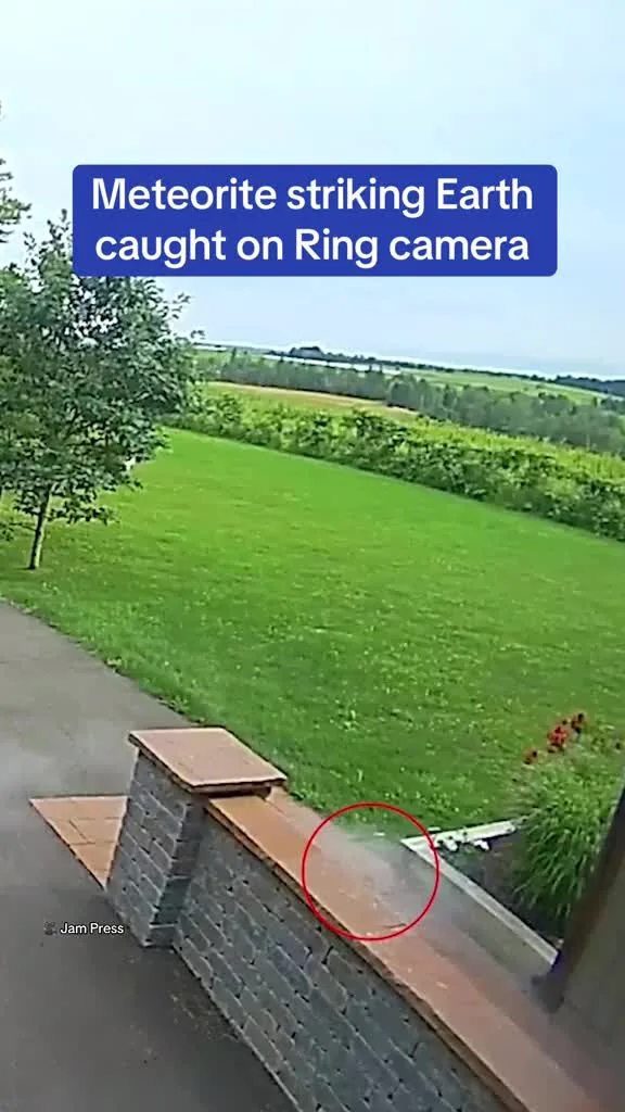 Preview for Video 1185713