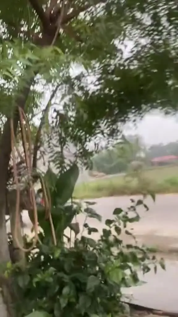 Preview for Video 1127217