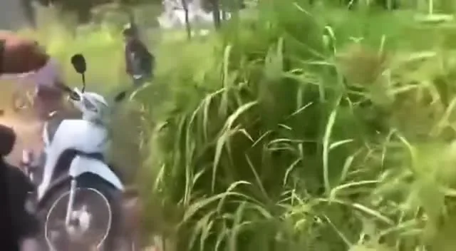 Preview for IMG 4331