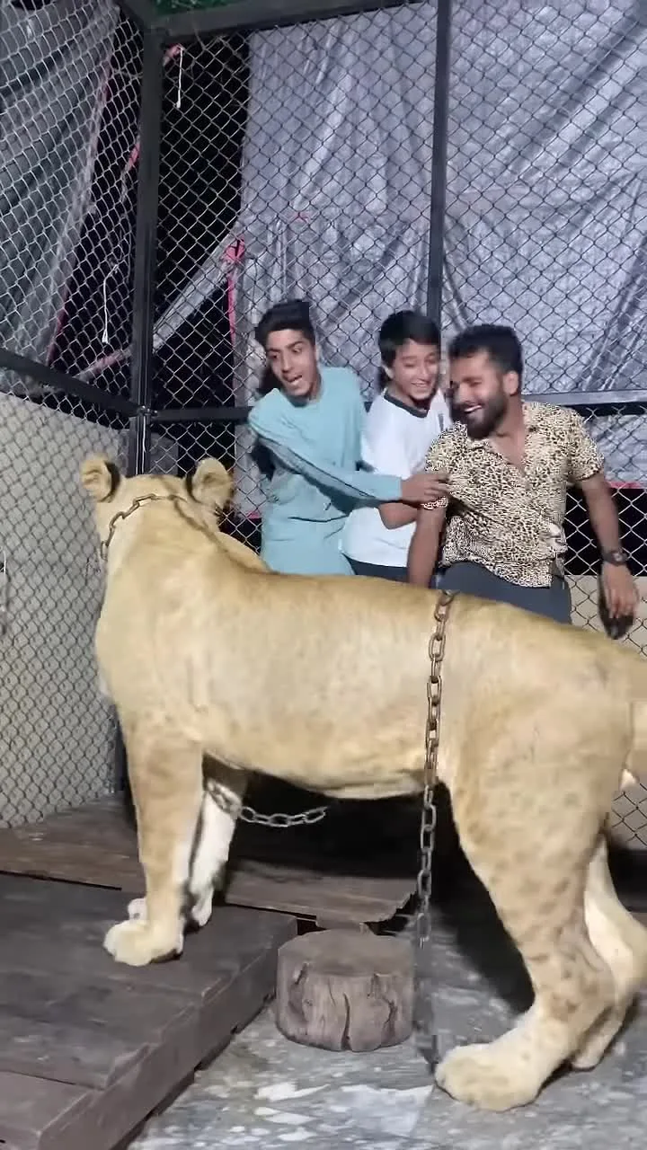 Preview for hdjskfkg