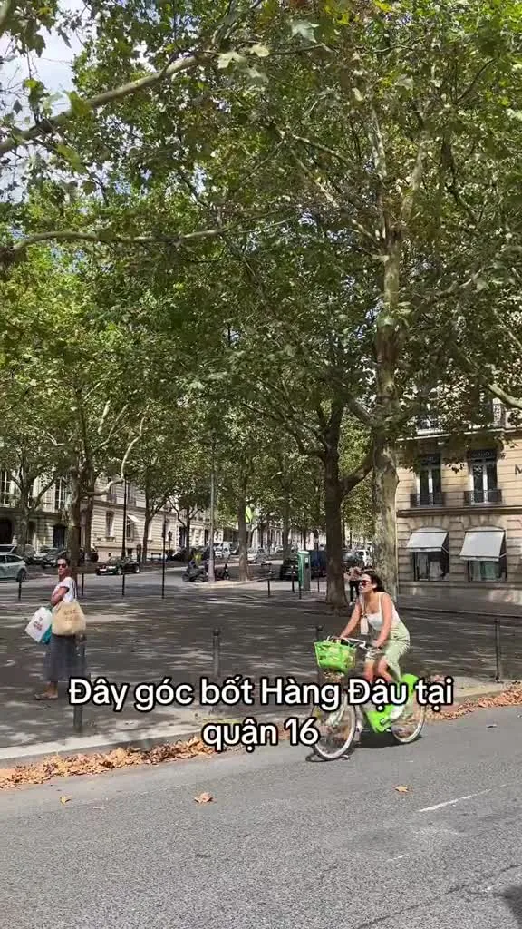 Preview for Video 1216046