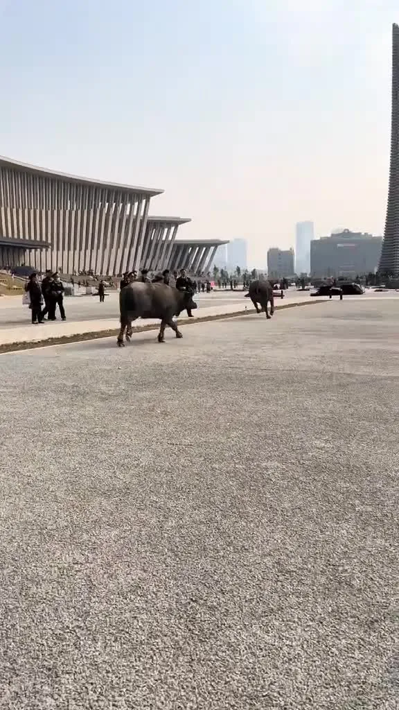 Preview for AQP00M7rKFqkwJFp8dLvkGKqc4Gh 1wDXLWIHXRVXCPqFXmh4byi Edh7C69Mj2