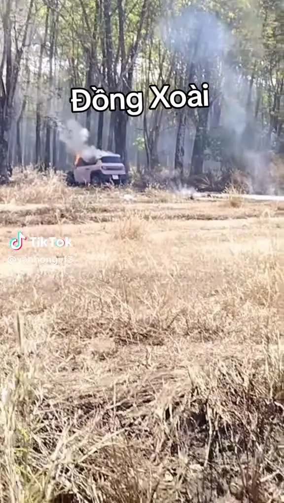 Preview for Video 1218944