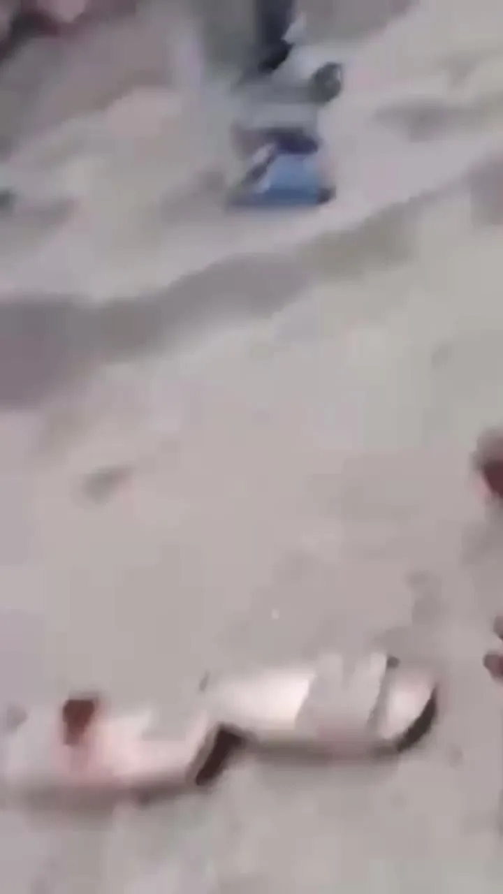 Preview for Video 1094178