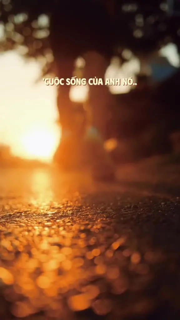 Preview for 542133115